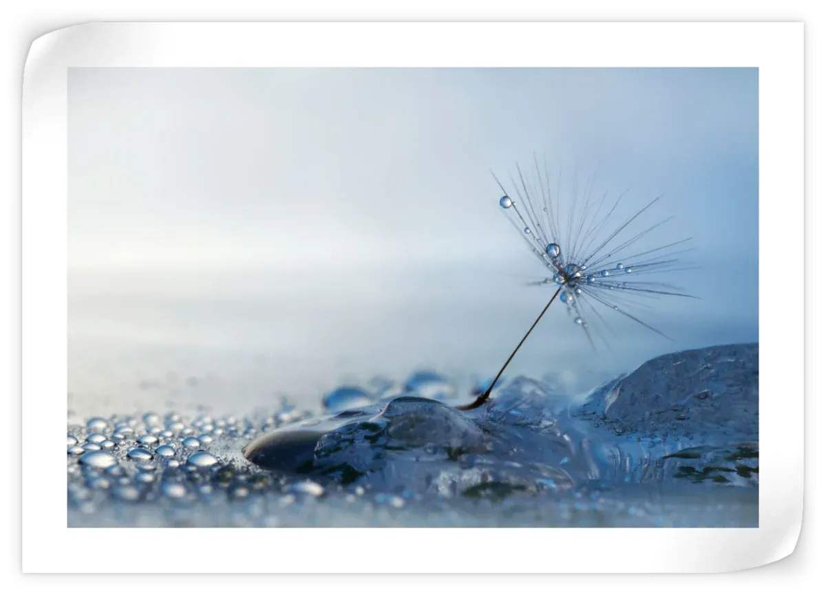 A Blue Morning Wall Art