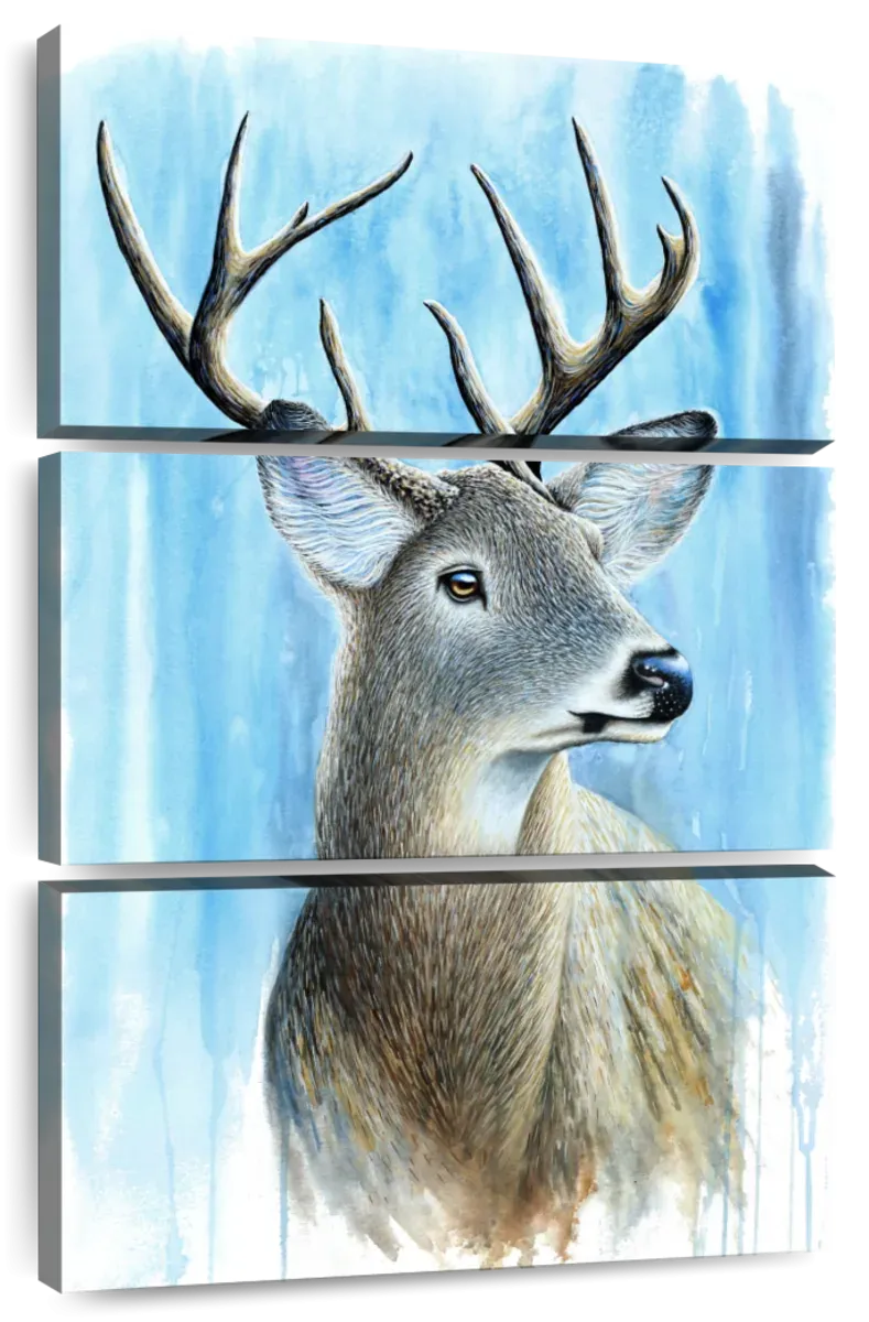 A Buck Wall Art