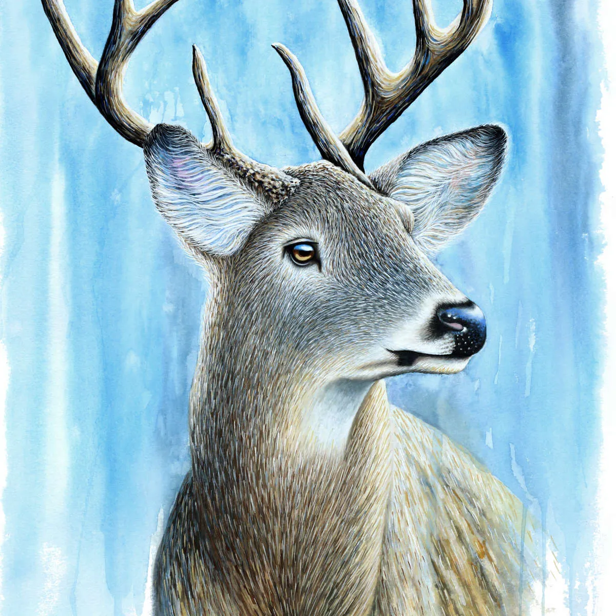 A Buck Wall Art