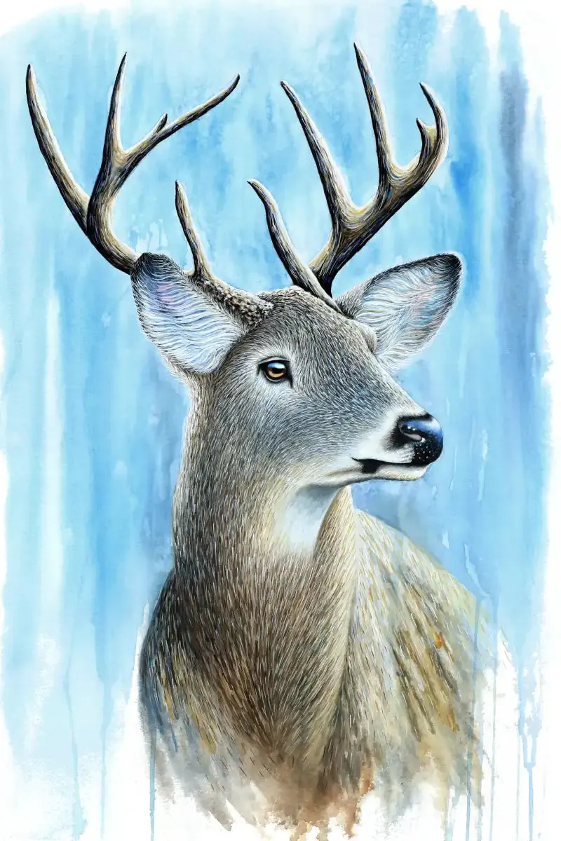 A Buck Wall Art