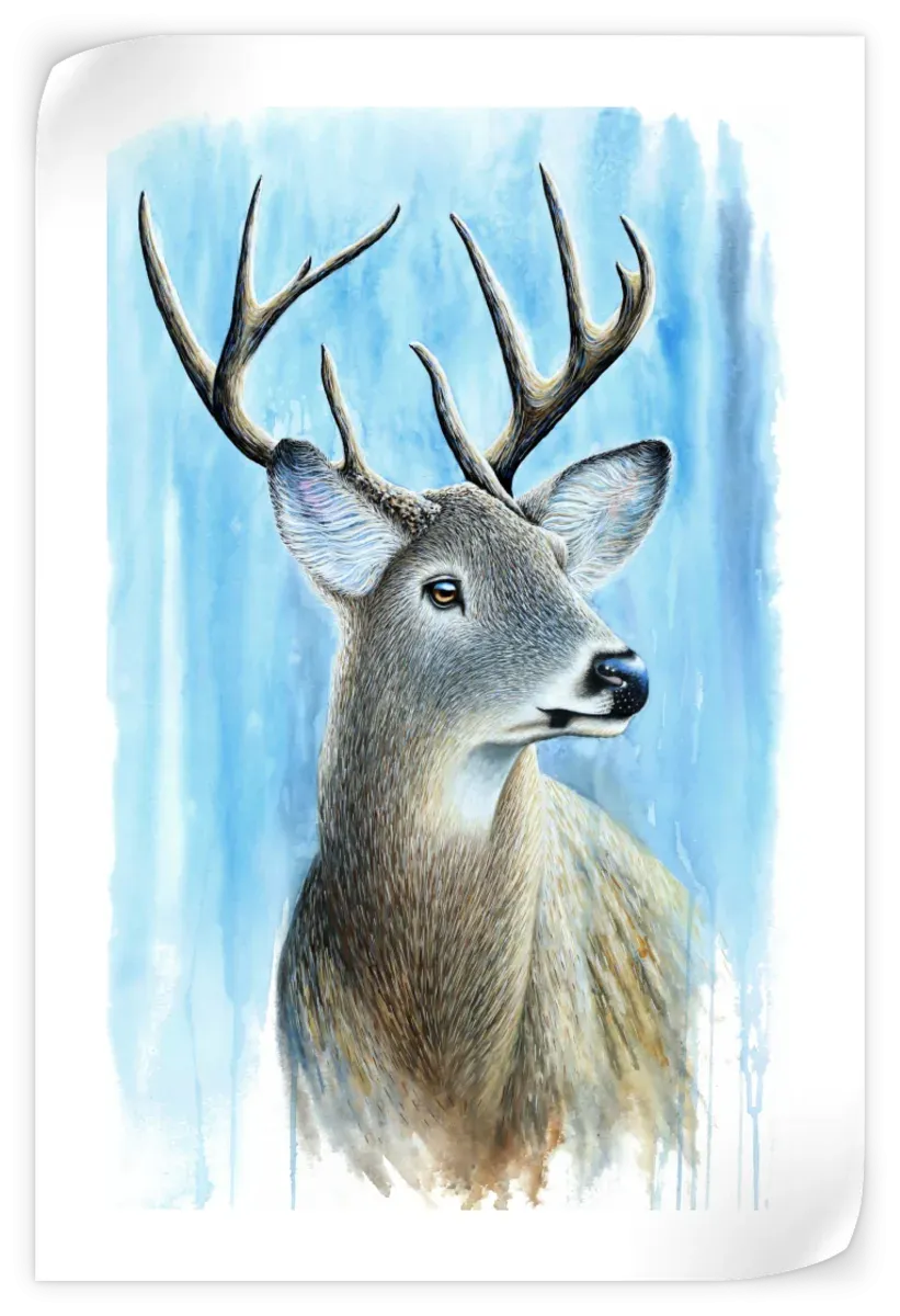 A Buck Wall Art