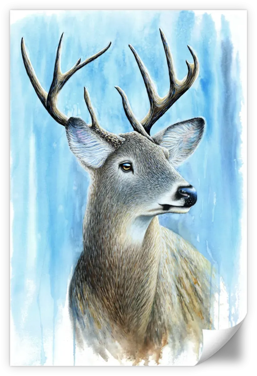 A Buck Wall Art