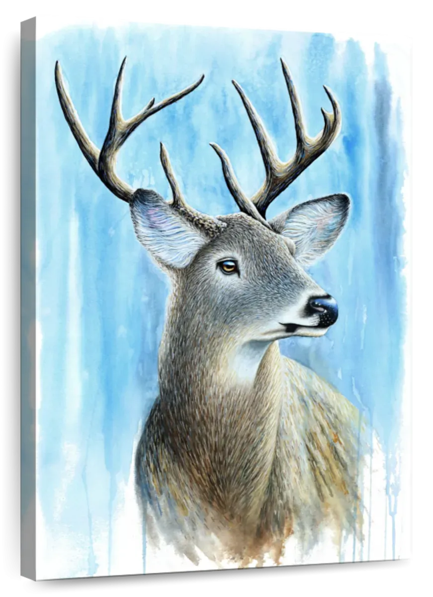 A Buck Wall Art