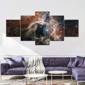 A Cosmic Tarantula Wall Art