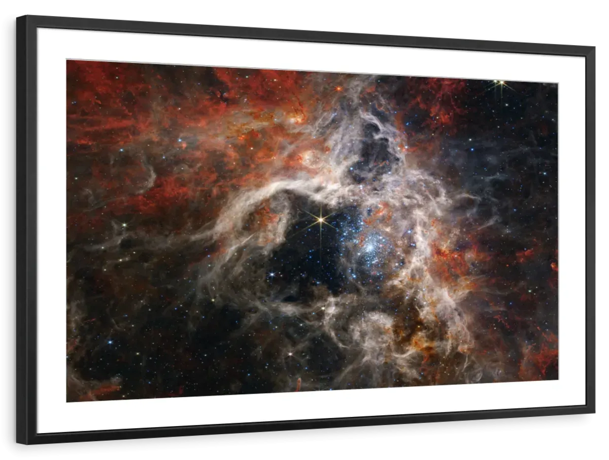 A Cosmic Tarantula Wall Art