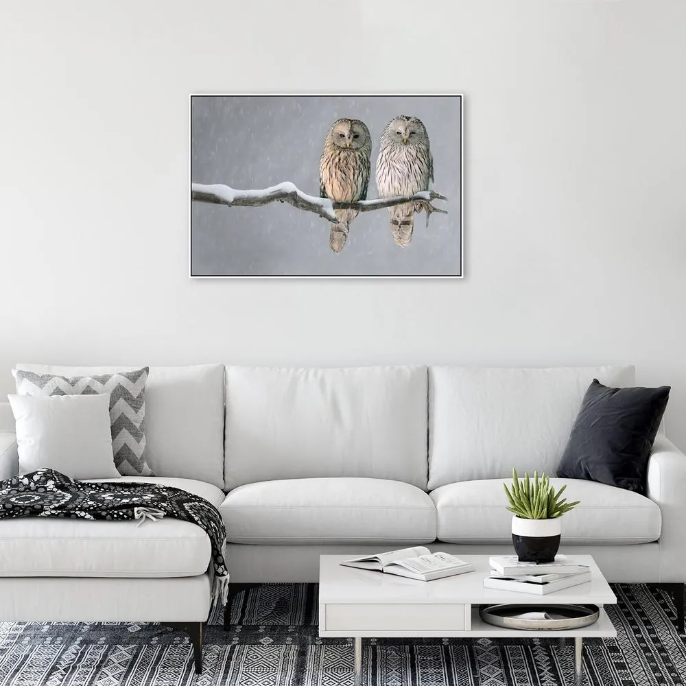 A Pair Of Owls