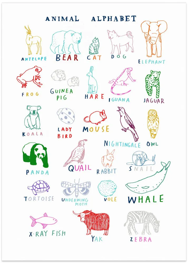 Animal Alphabet , By Hanna Melin