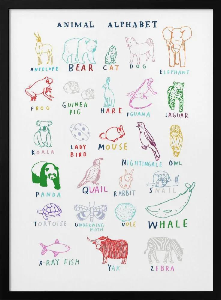 Animal Alphabet , By Hanna Melin