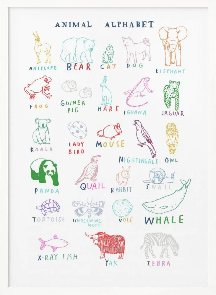 Animal Alphabet , By Hanna Melin