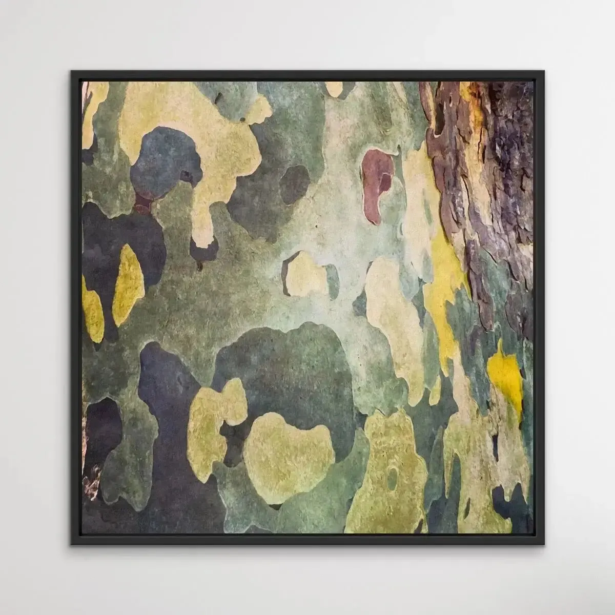 Bark In Green and Yellow Tones - Square Abstract Eucalyptus Bark Photographic Print