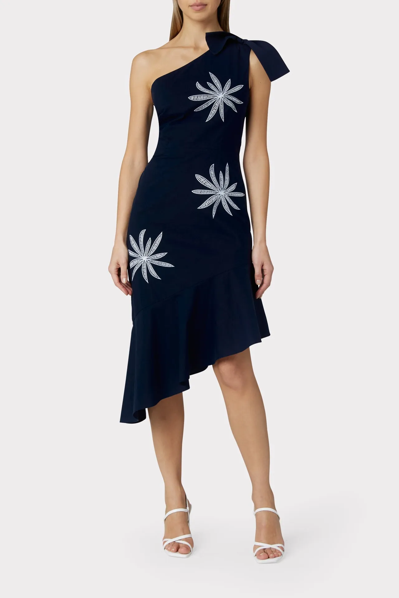 Beatrice Embroidered Poplin Dress