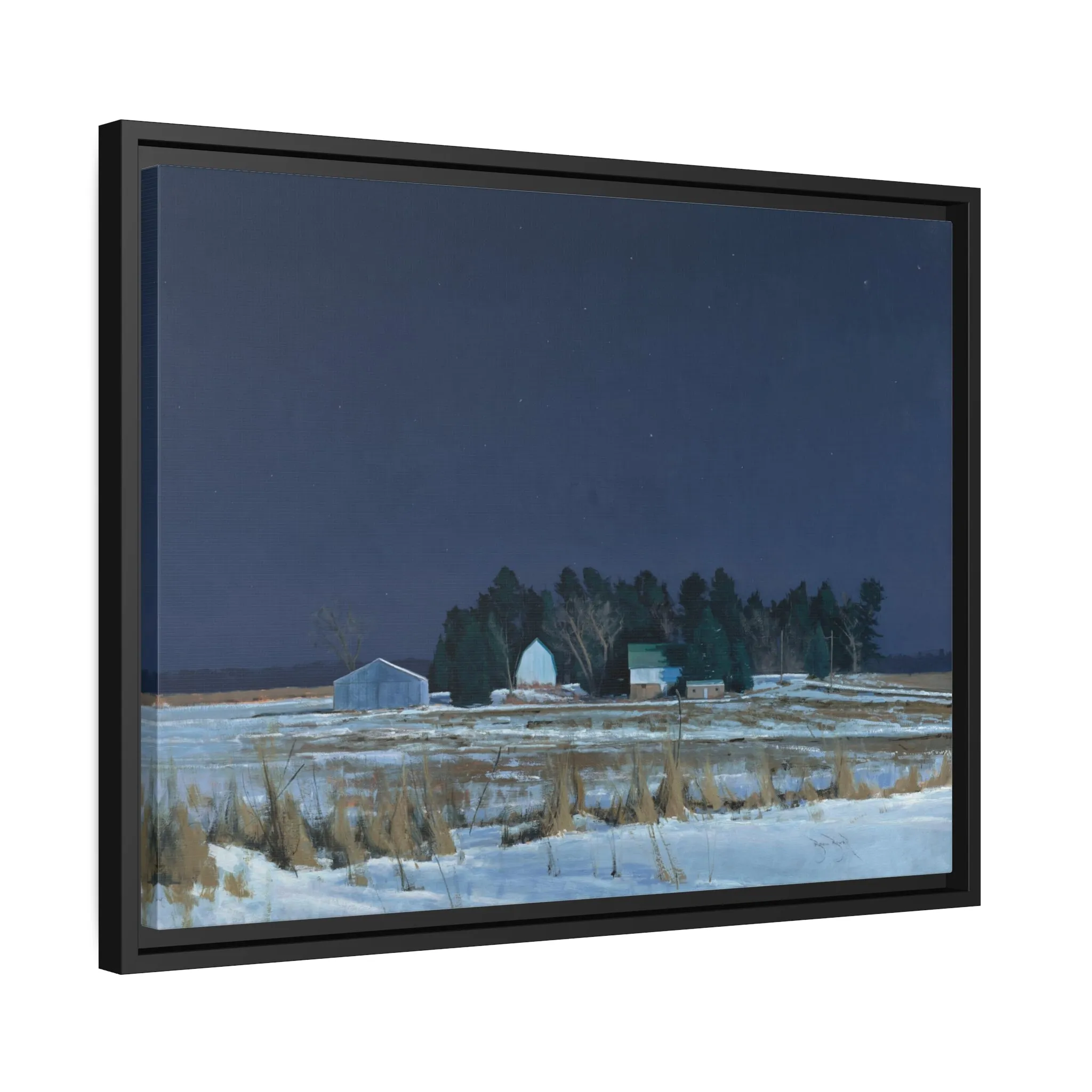 Ben Bauer: "Midnight at 20 Below" - Framed Canvas Reproduction