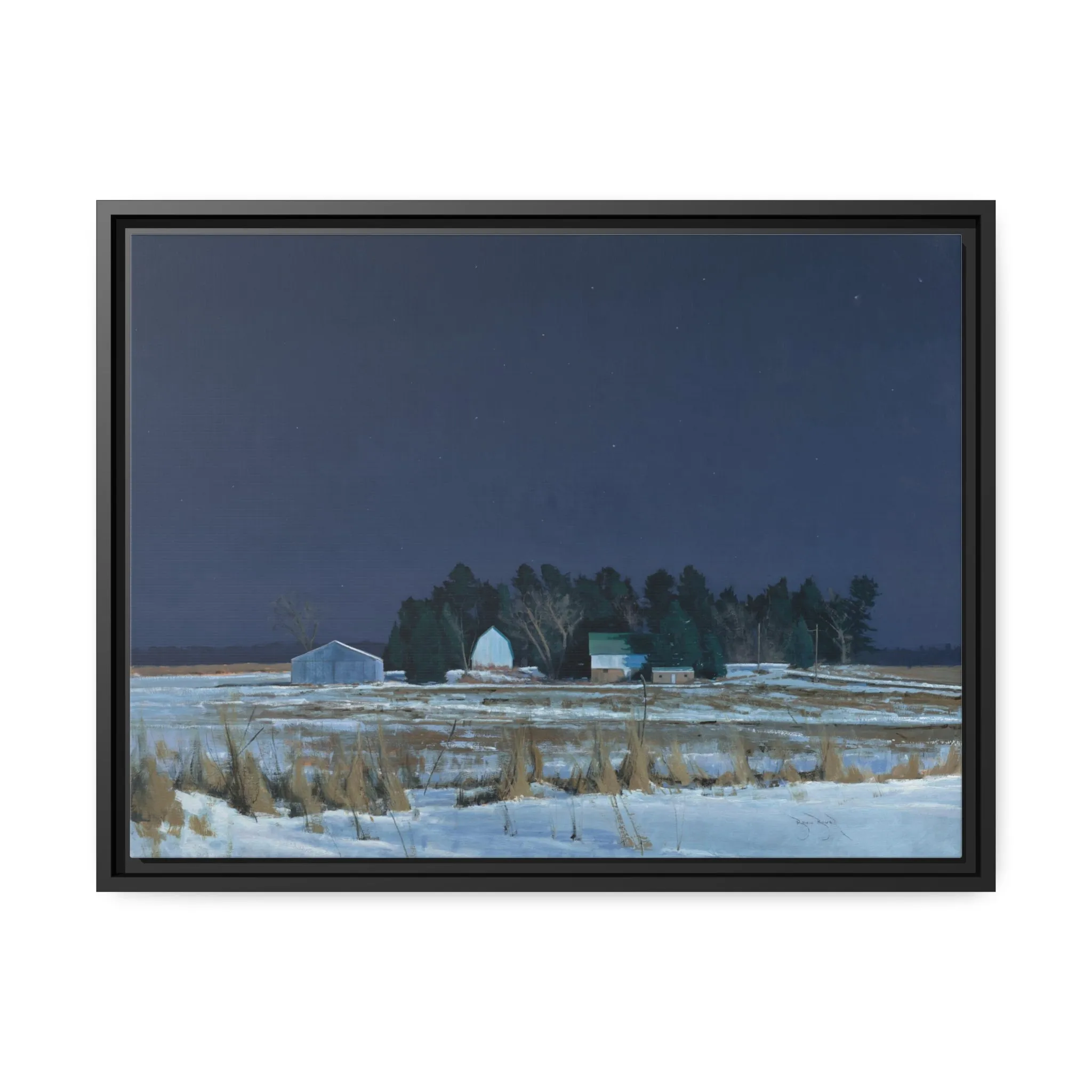 Ben Bauer: "Midnight at 20 Below" - Framed Canvas Reproduction