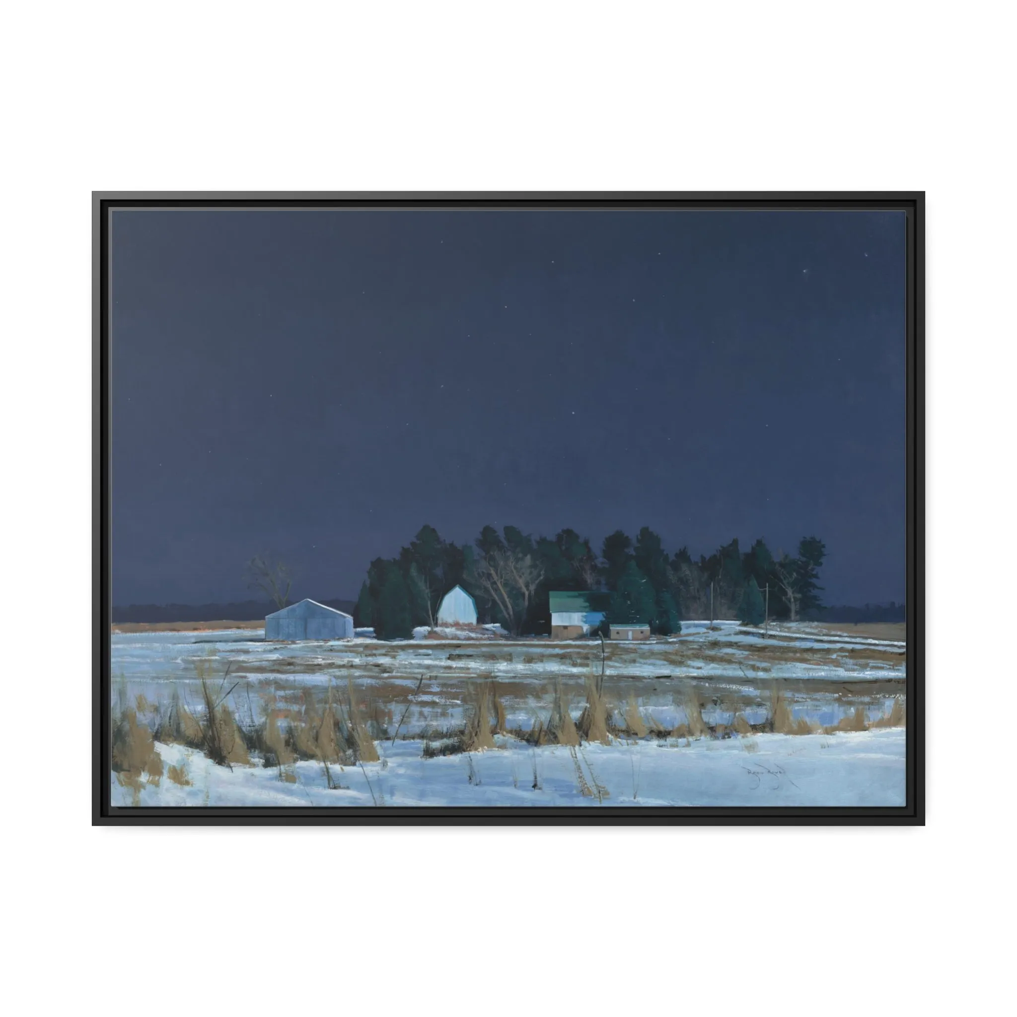 Ben Bauer: "Midnight at 20 Below" - Framed Canvas Reproduction