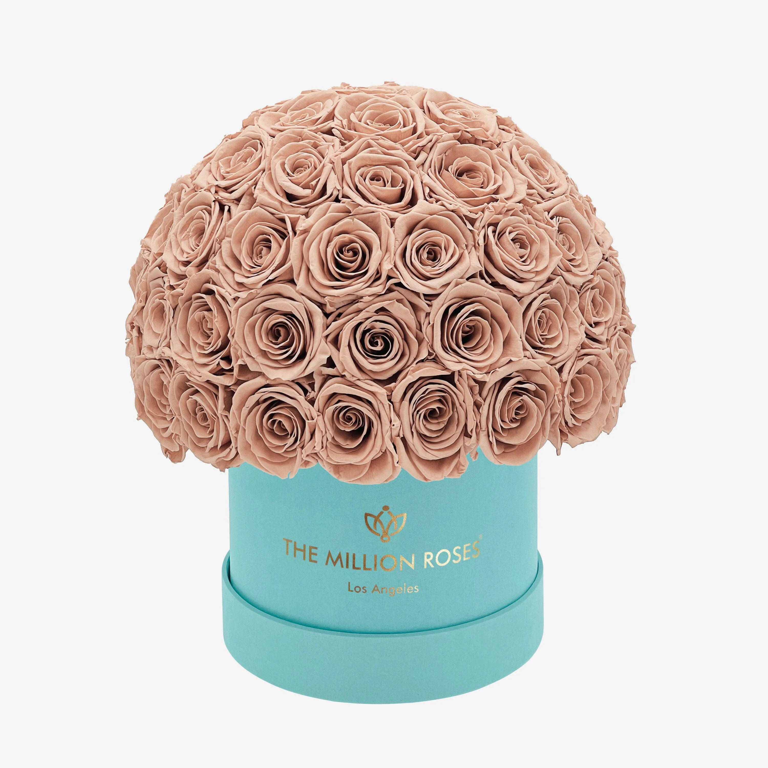 Classic Mint Green Suede Superdome Box | Sand Roses