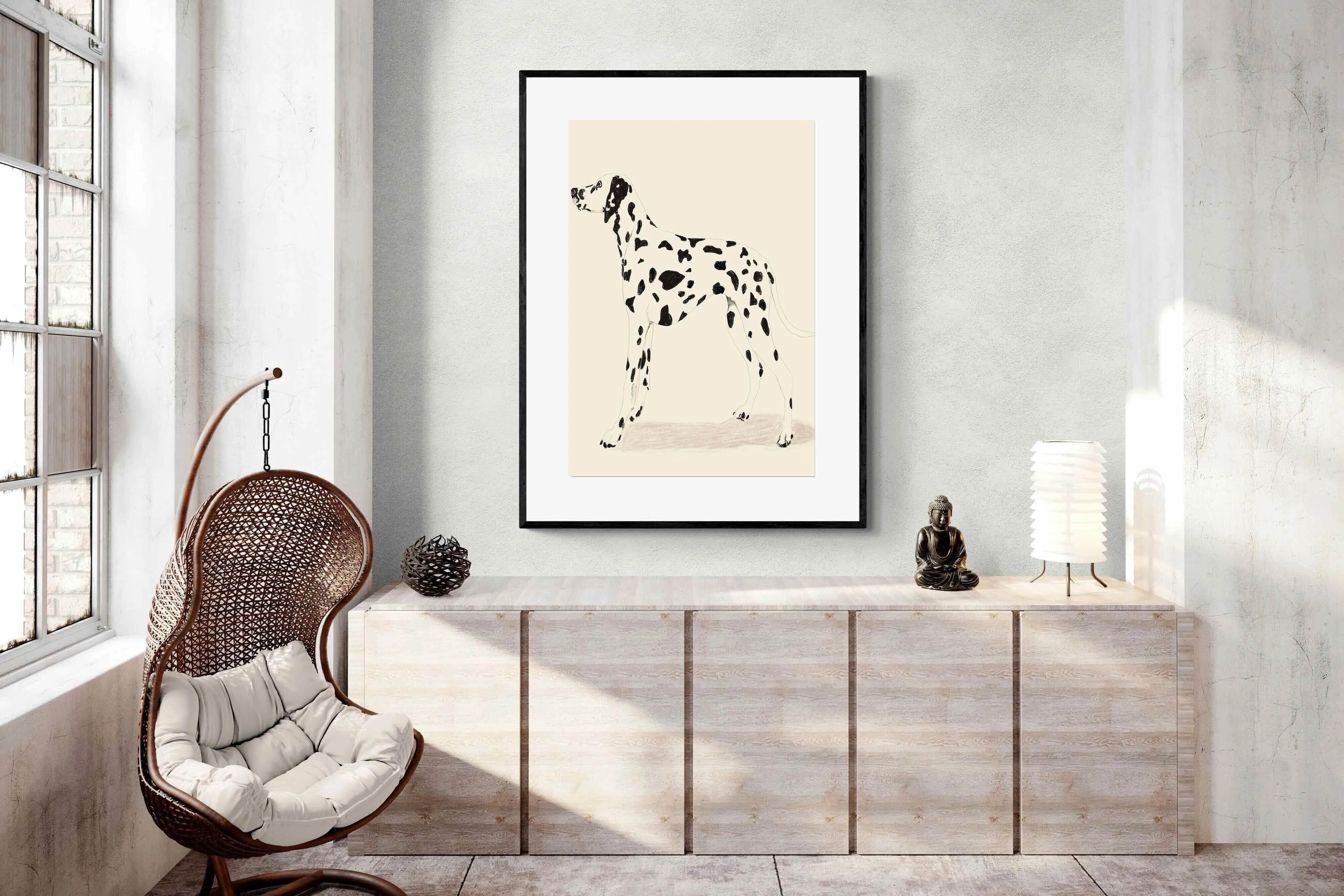 Dalmation