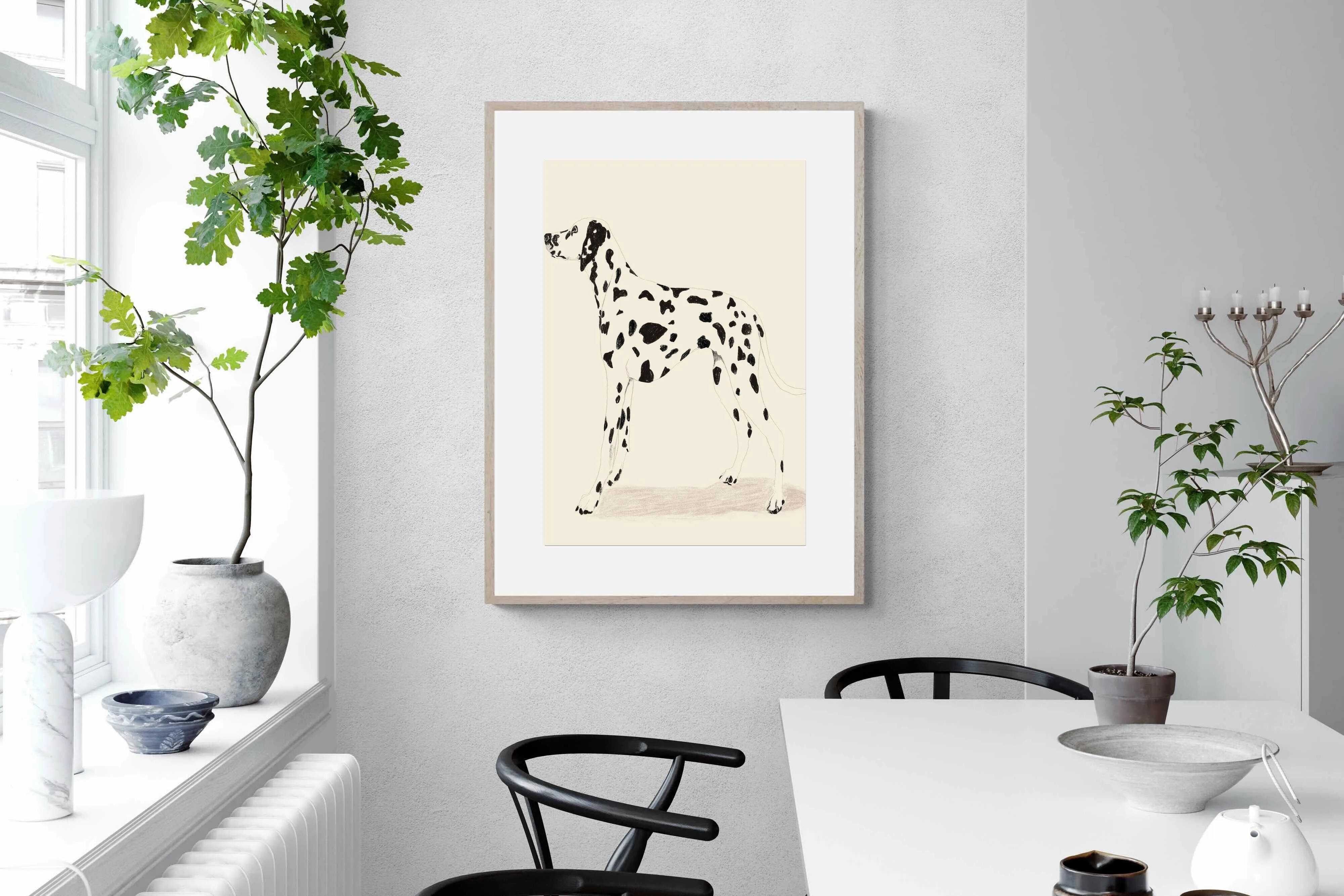 Dalmation