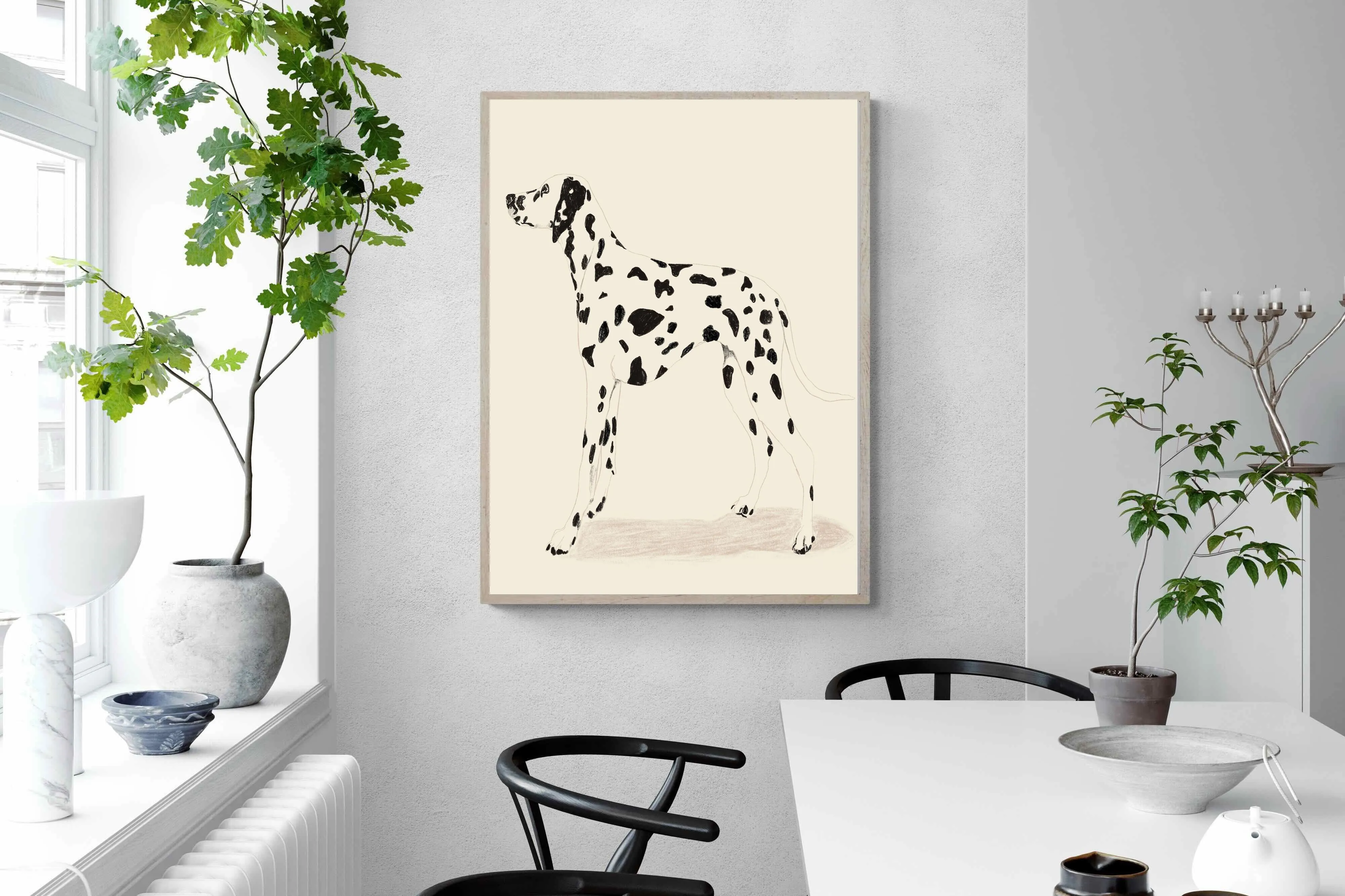 Dalmation