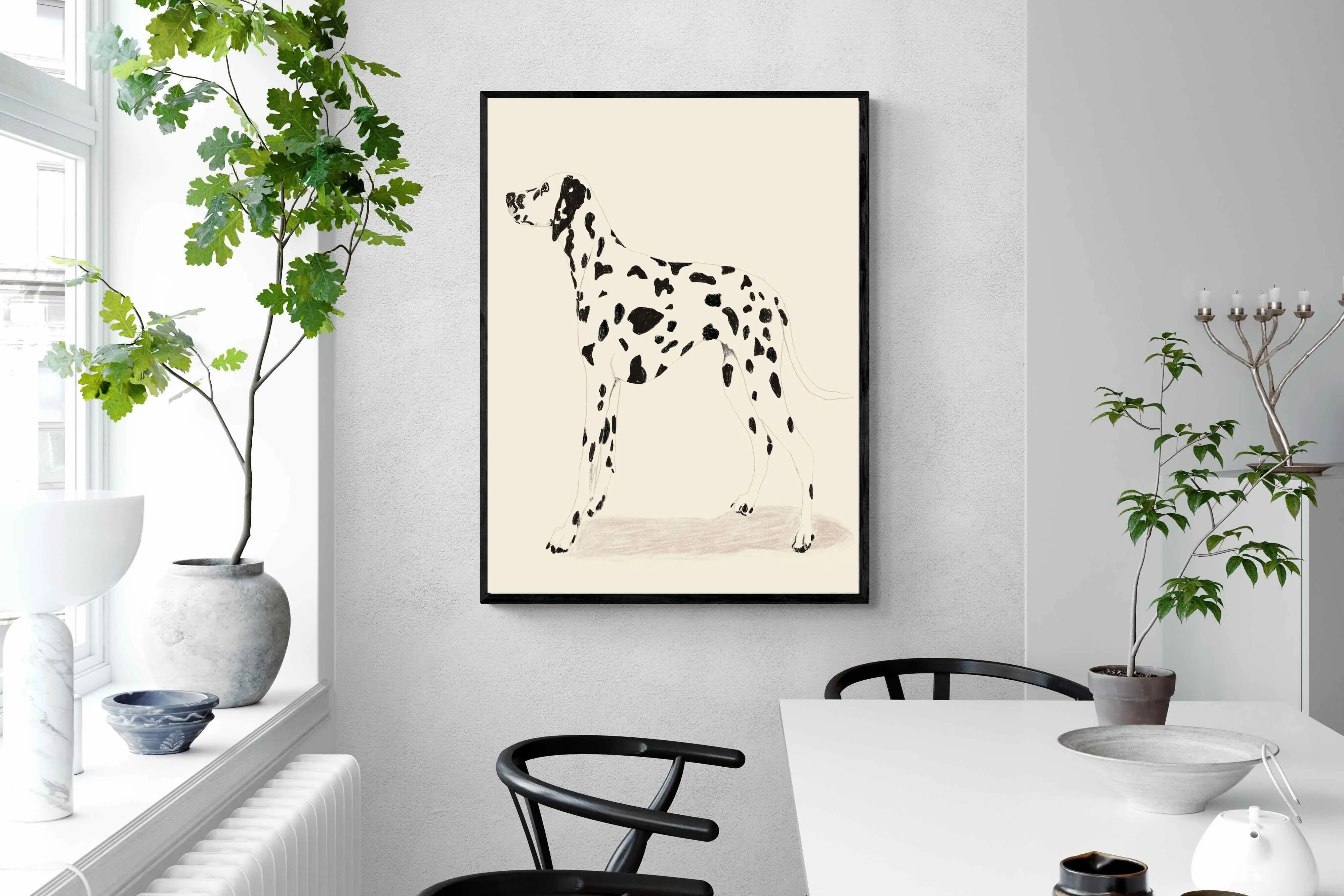 Dalmation