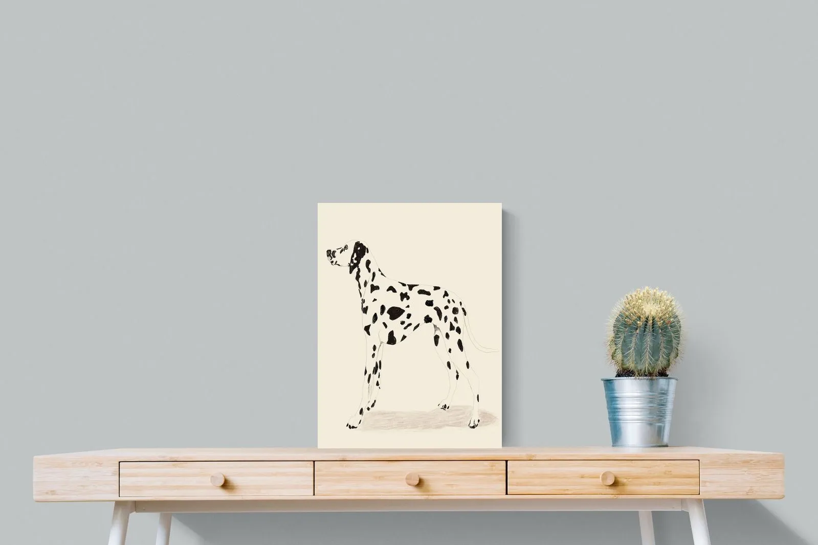 Dalmation