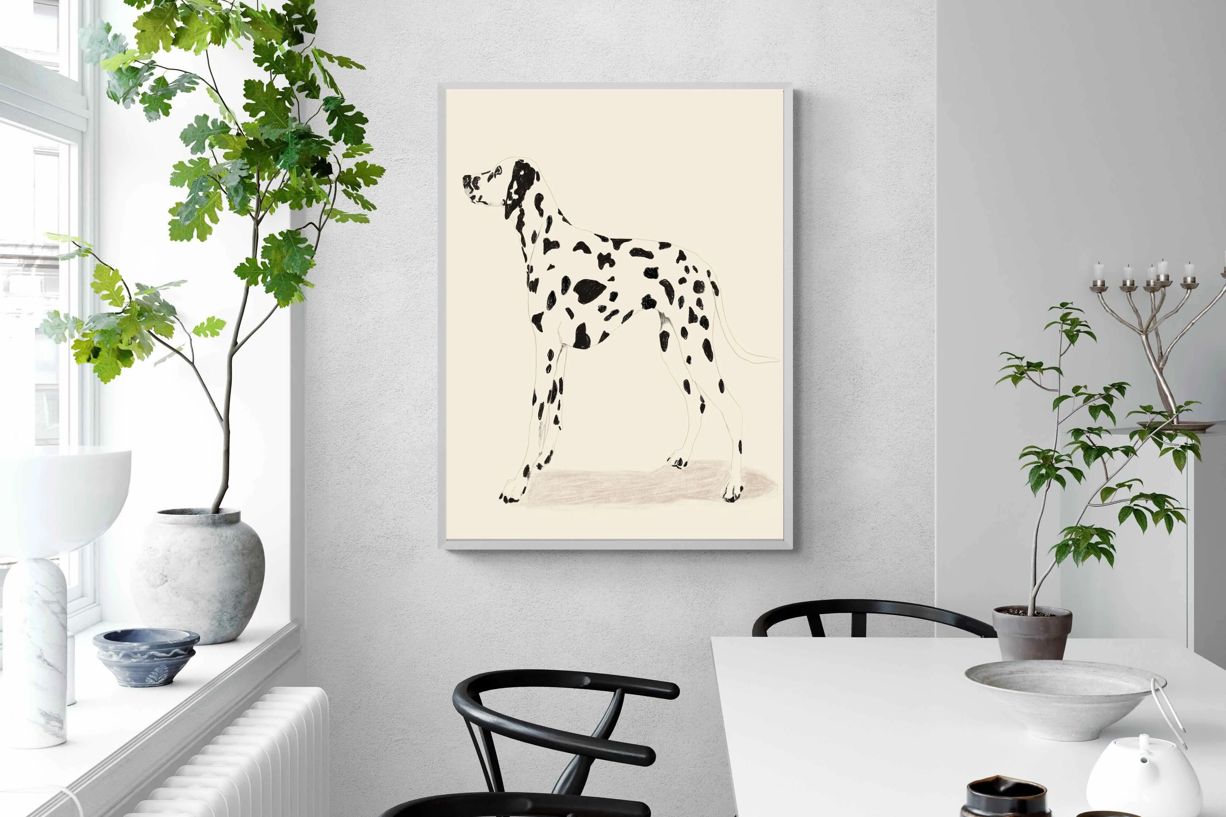 Dalmation