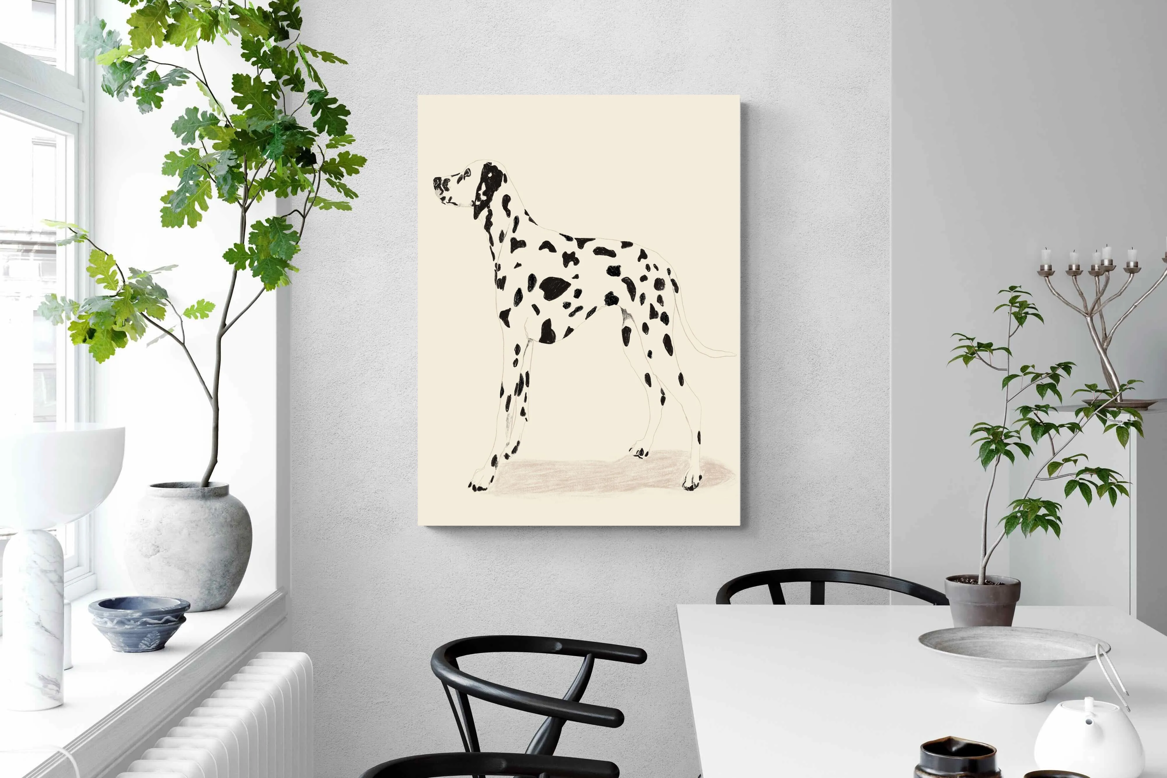 Dalmation