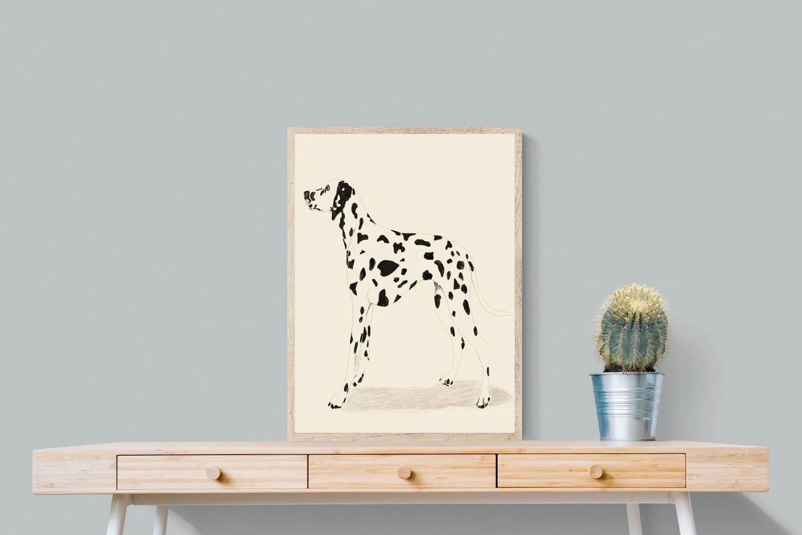 Dalmation