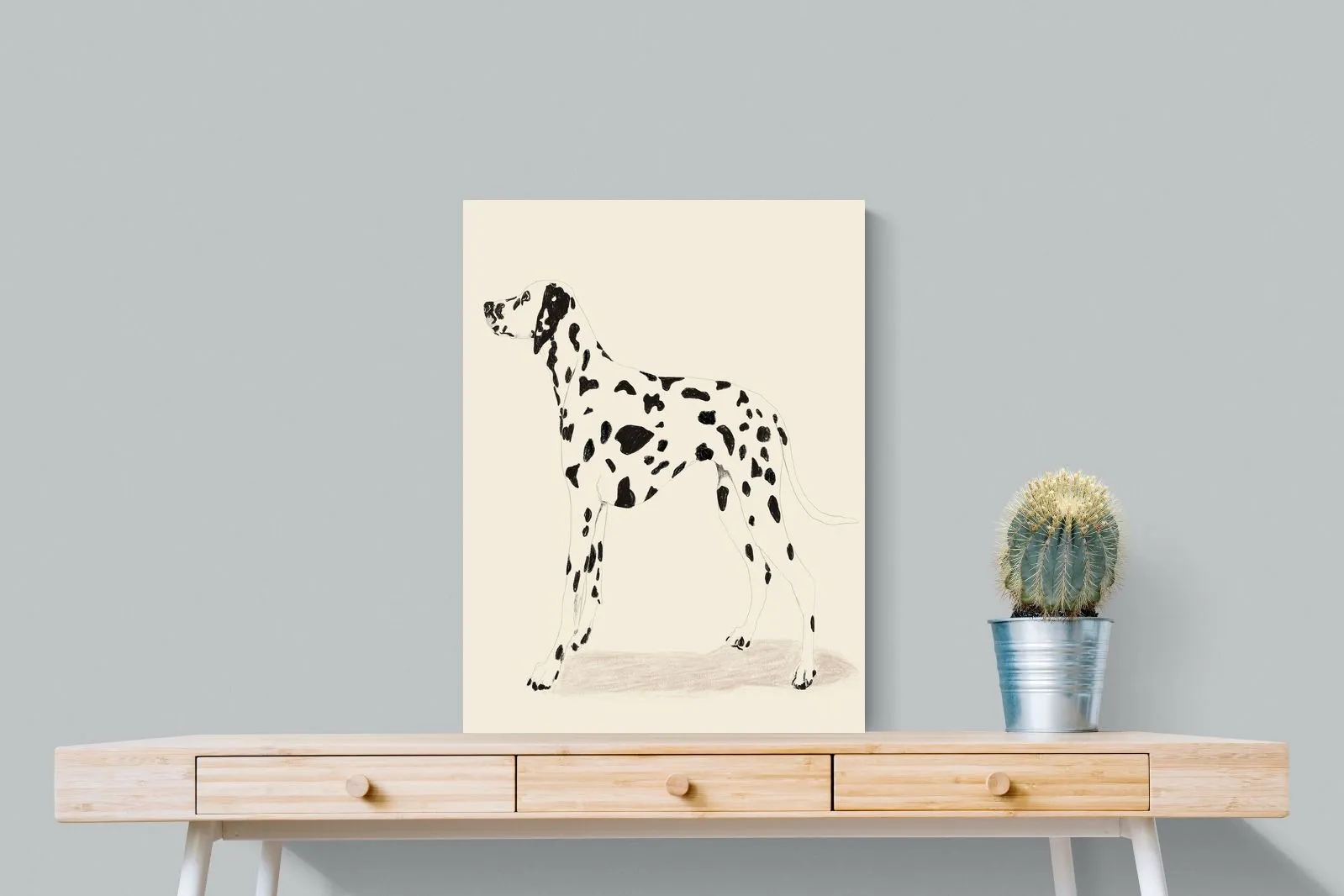 Dalmation