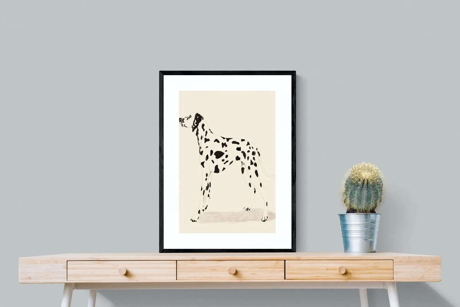 Dalmation