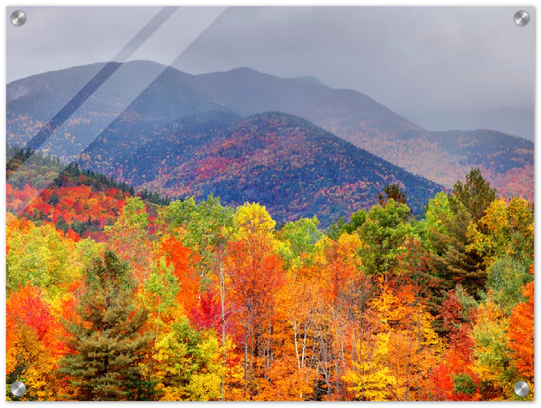 Fall Adirondack Mountains - Print