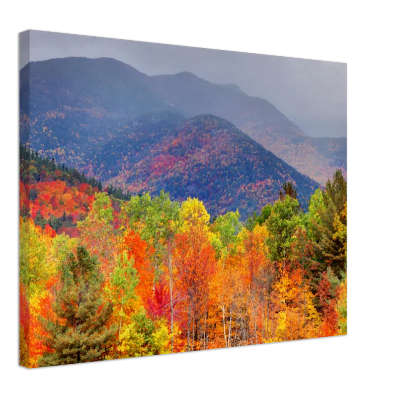 Fall Adirondack Mountains - Print