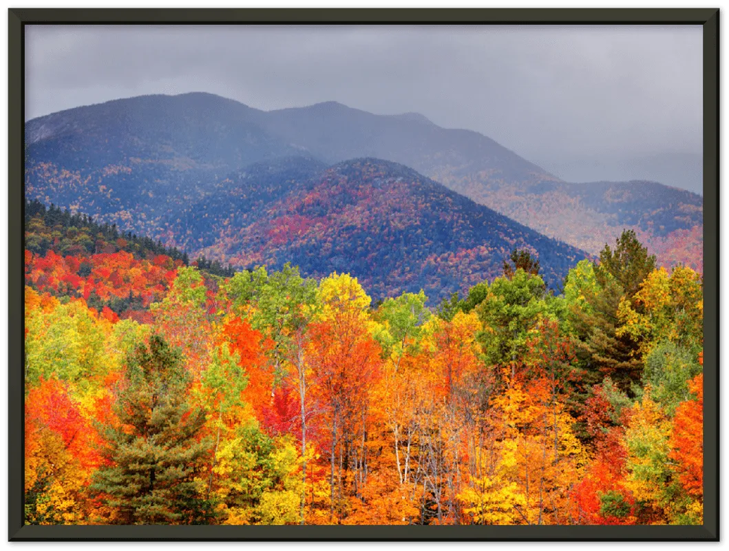 Fall Adirondack Mountains - Print