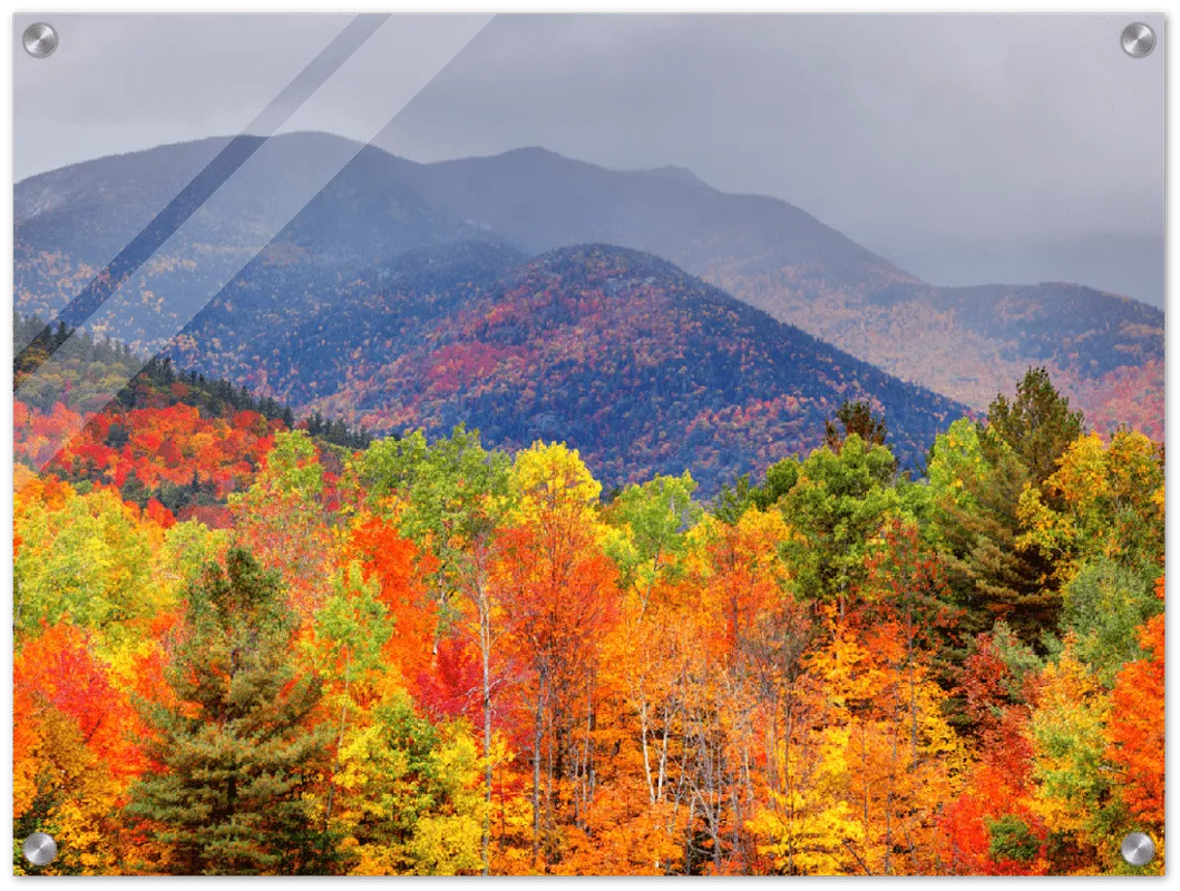 Fall Adirondack Mountains - Print