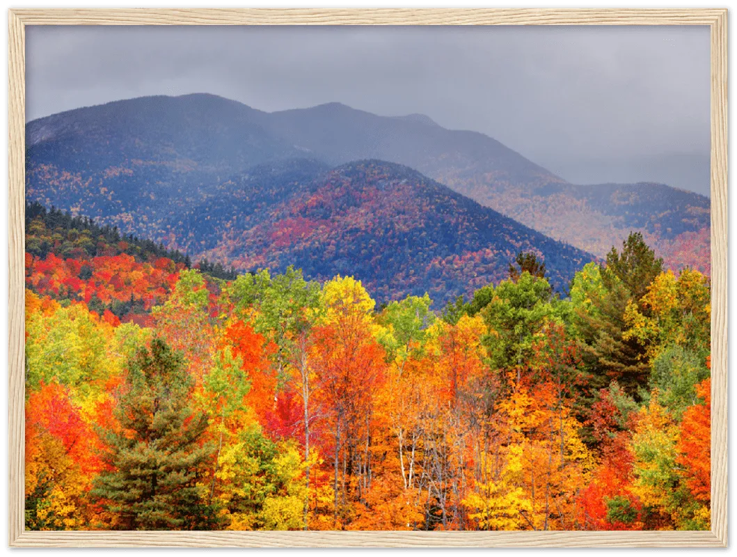 Fall Adirondack Mountains - Print