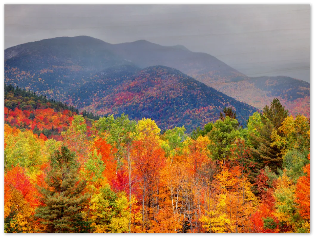 Fall Adirondack Mountains - Print