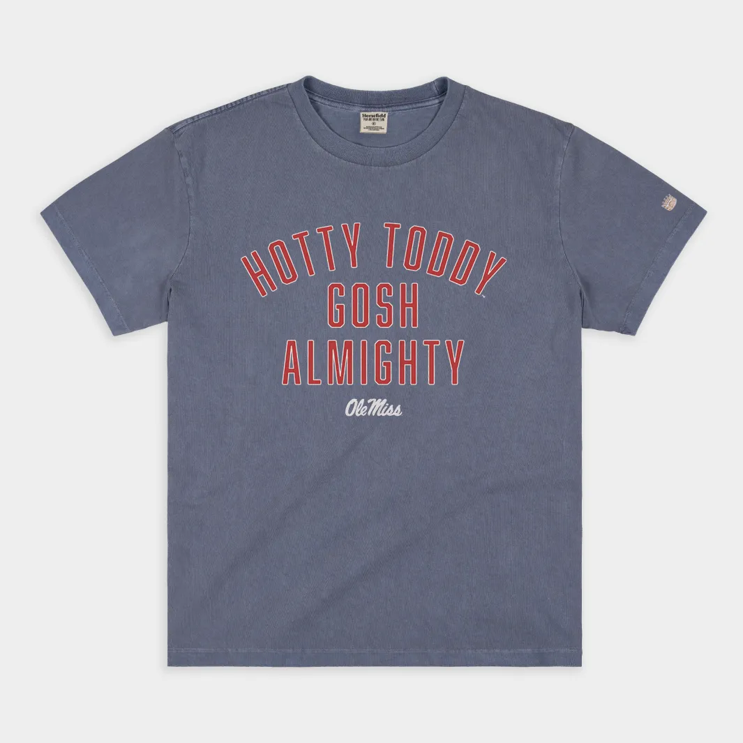 "Hotty Toddy Gosh Almighty" Ole Miss Vintage Heavyweight Tee