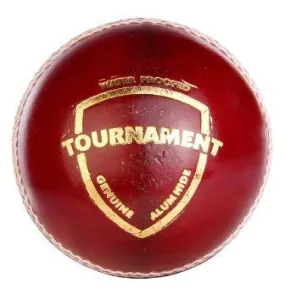 SG Tournament Red Leather Cricket Ball