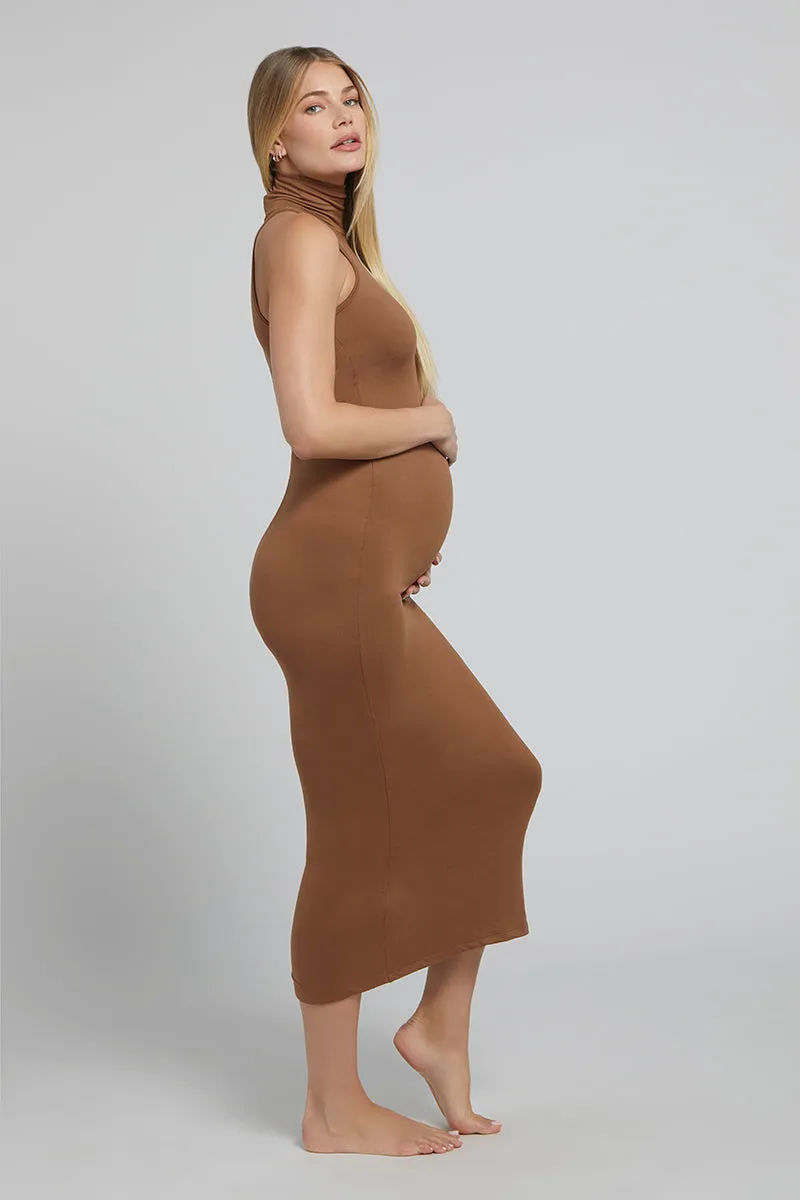 The Serena Maternity Dress