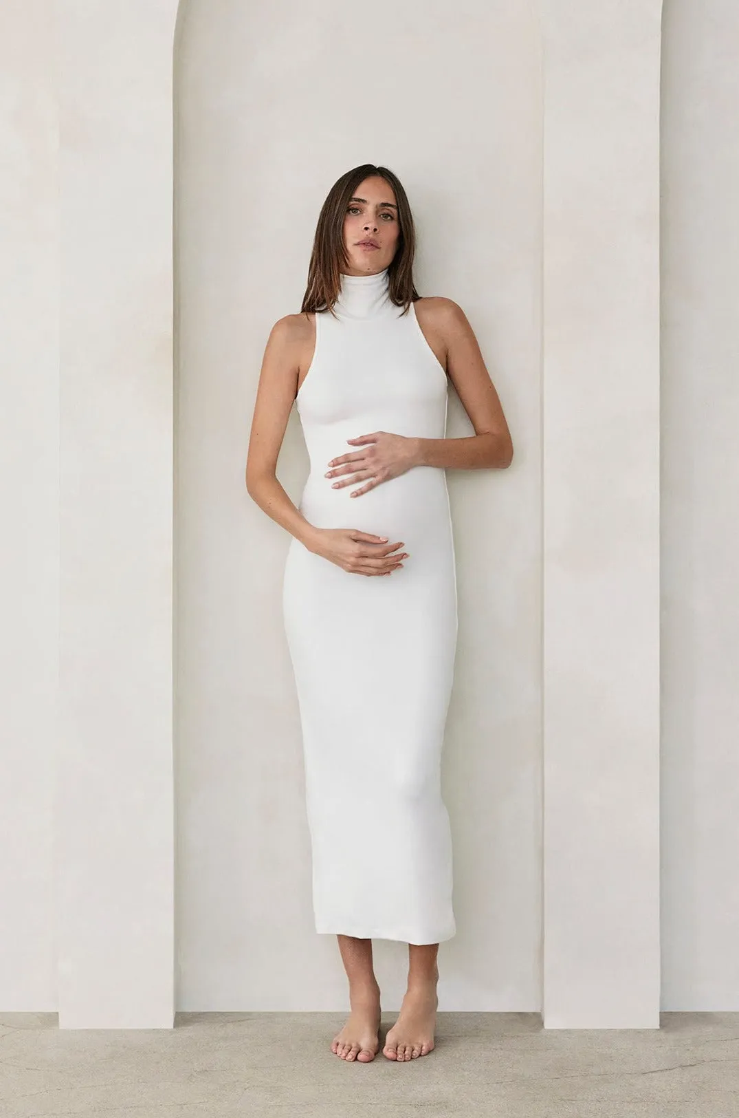 The Serena Maternity Dress