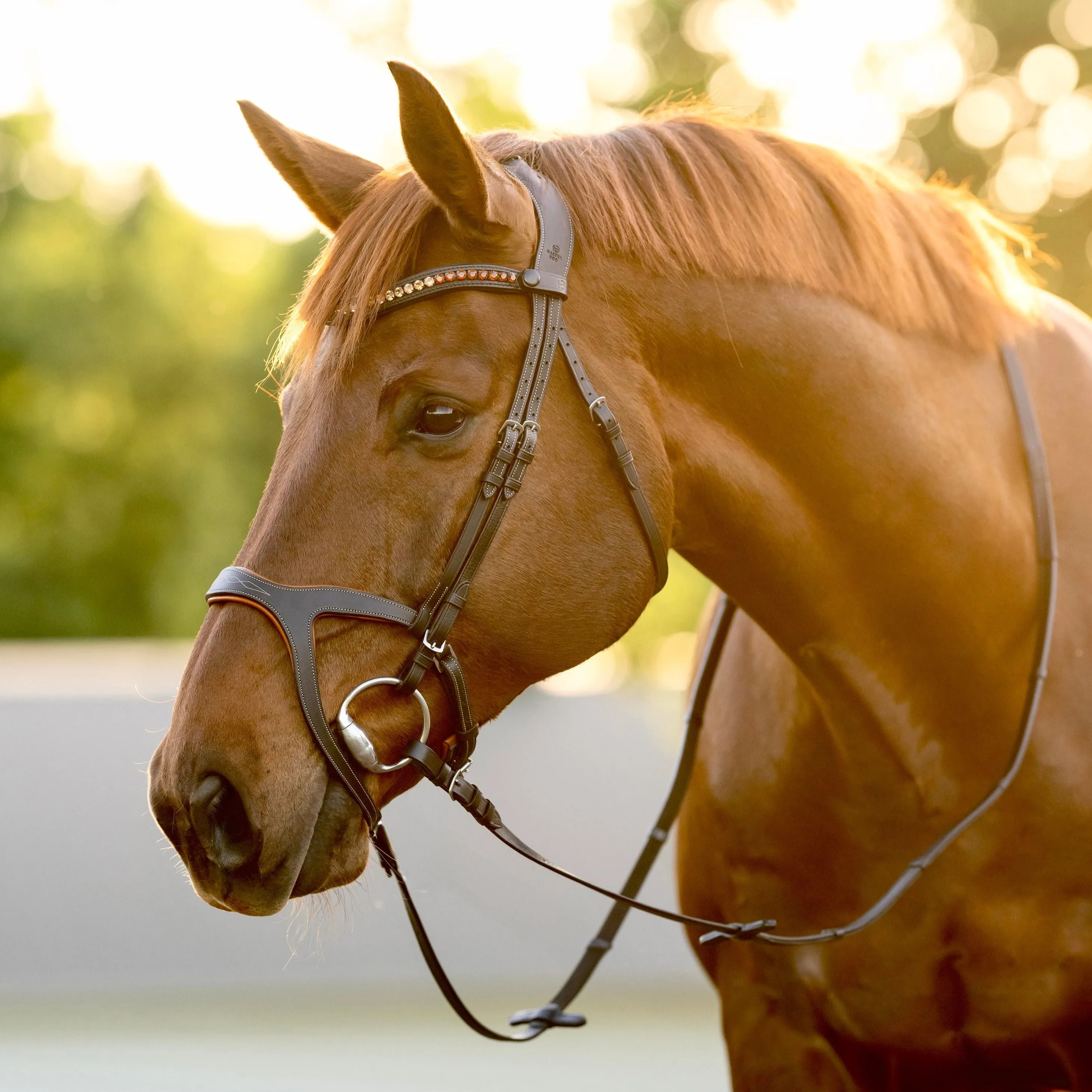 Triomphe Black Leather & Cognac Leather Snaffle Bridle